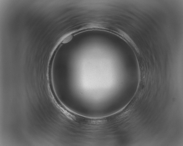X0000057561339200509231149