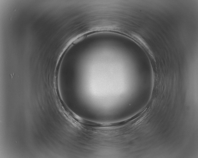 X0000057561340200509231149