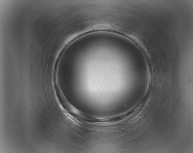 X0000057561342200509231149