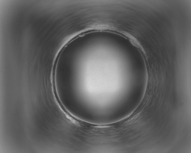 X0000057561343200509231149
