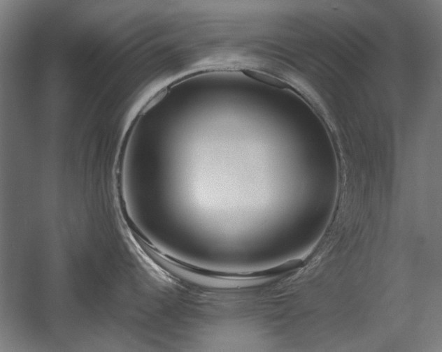 X0000057561344200509231149