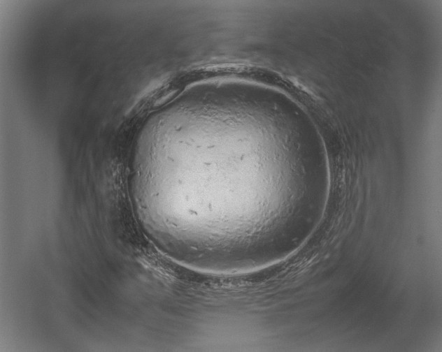 X0000057561351200509231148