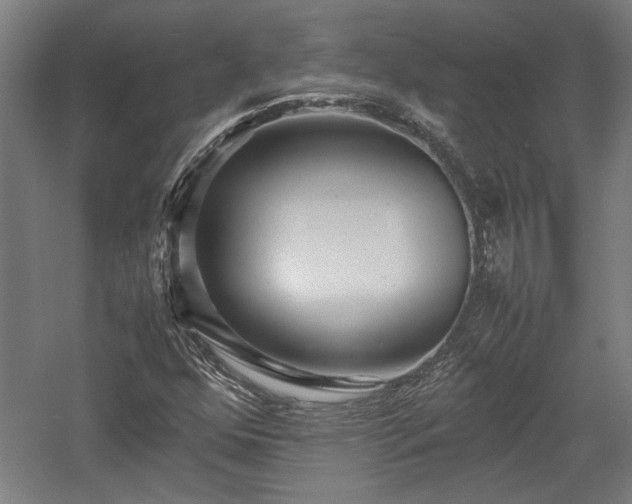 X0000057561352200509231148