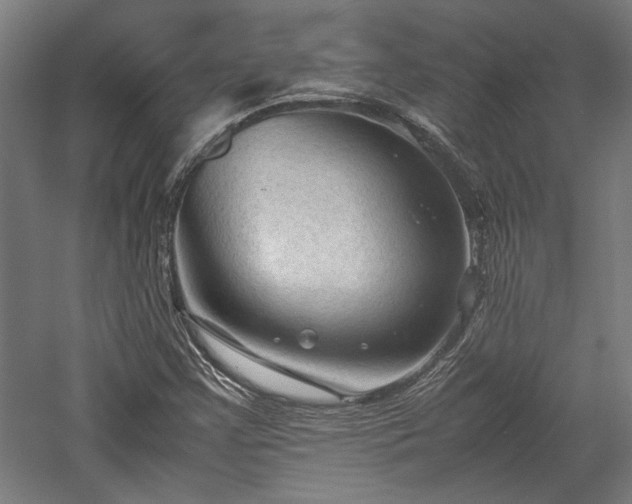 X0000057561355200509231148