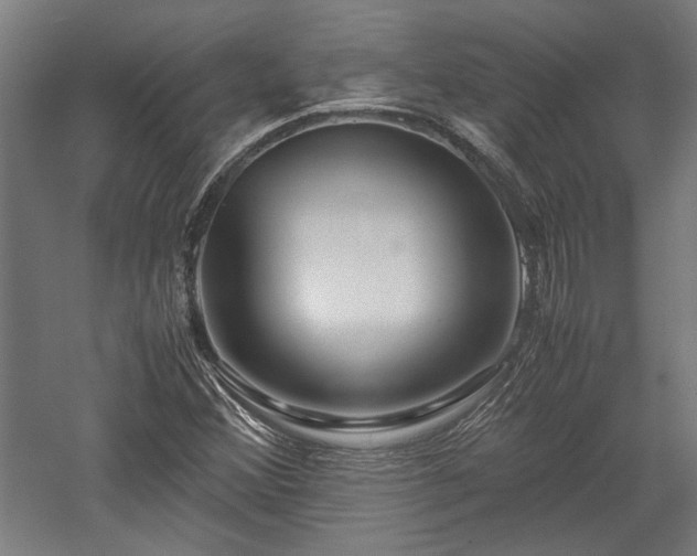X0000057561356200509231148
