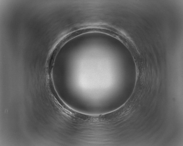 X0000057561360200509231148