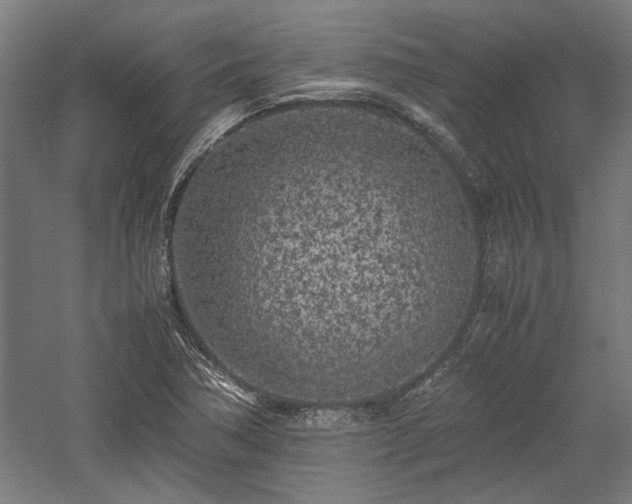 X0000057561362200509231148