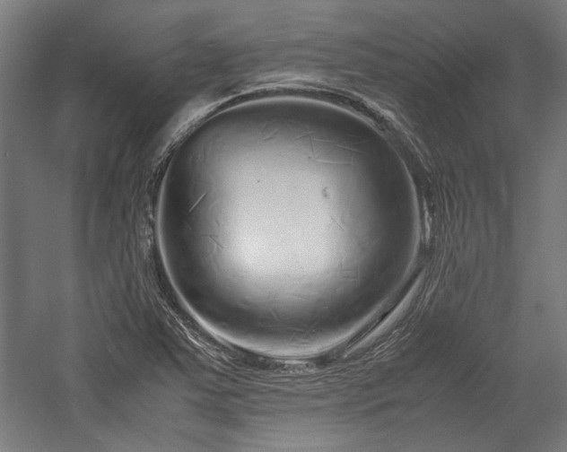 X0000057561363200509231148