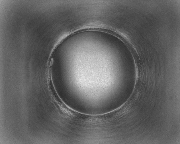 X0000057561366200509231148
