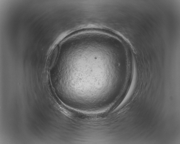 X0000057561367200509231148