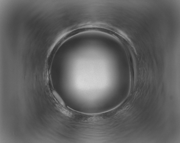 X0000057561368200509231148