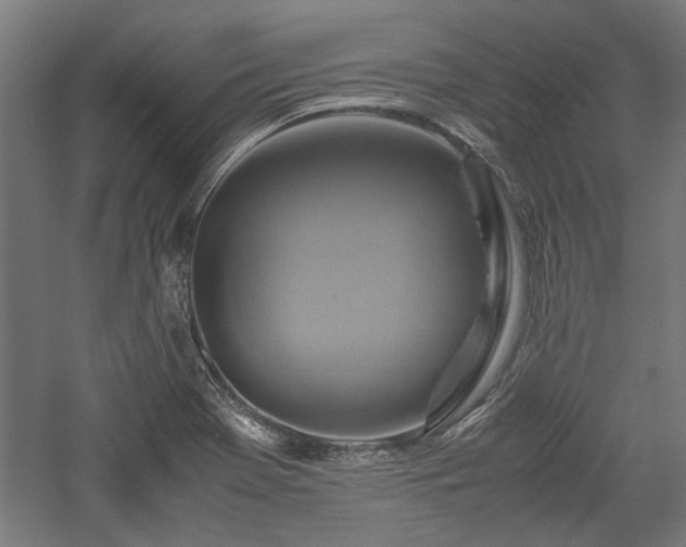 X0000057561369200509231148