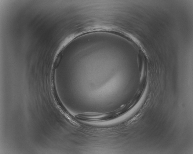 X0000057561373200509231148