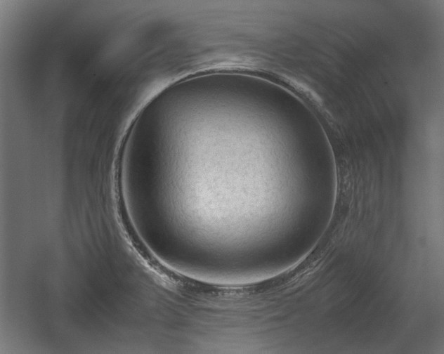 X0000057561375200509231148