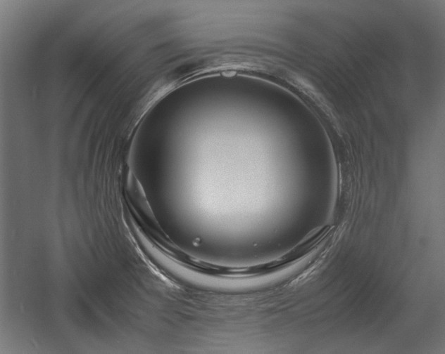 X0000057561377200509231148