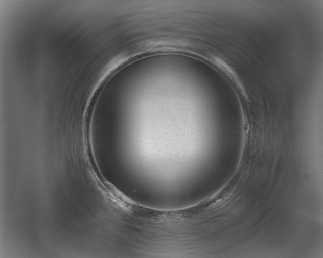 X0000057561384200509231148