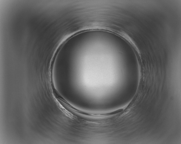 X0000057561388200509231148