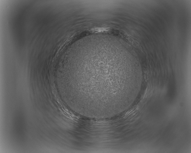 X0000057561393200509231147