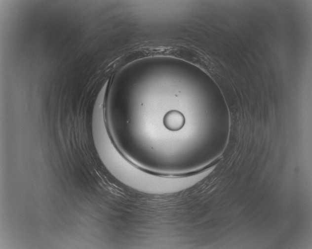 X0000057561394200509231147
