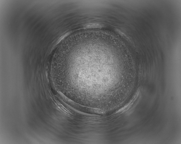 X0000057561401200509231147