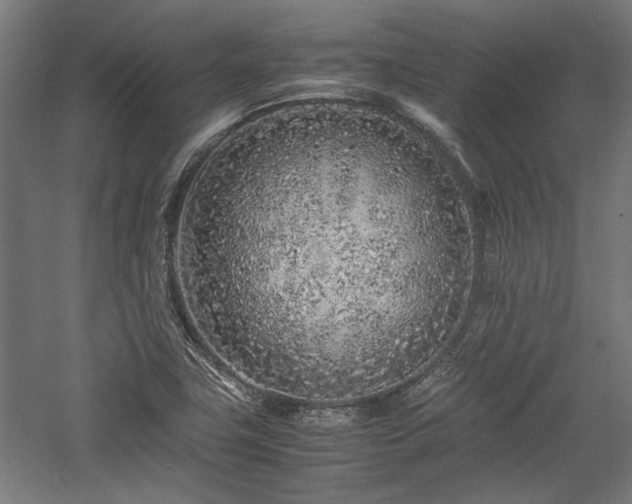 X0000057561411200509231147