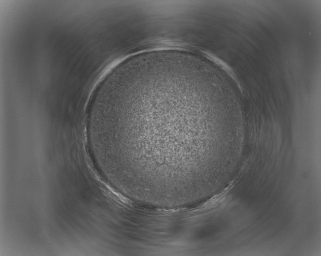 X0000057561415200509231147