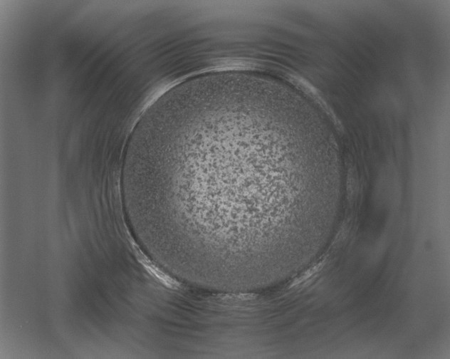 X0000057561417200509231147
