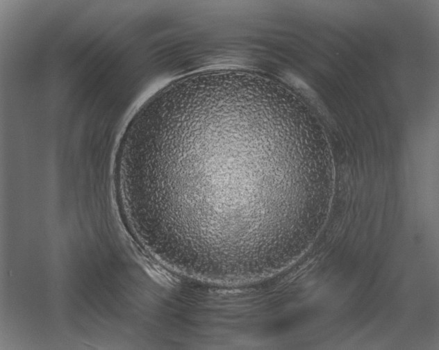 X0000057561427200509231147