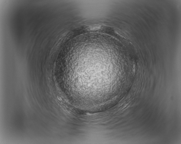 X0000057561441200509231147