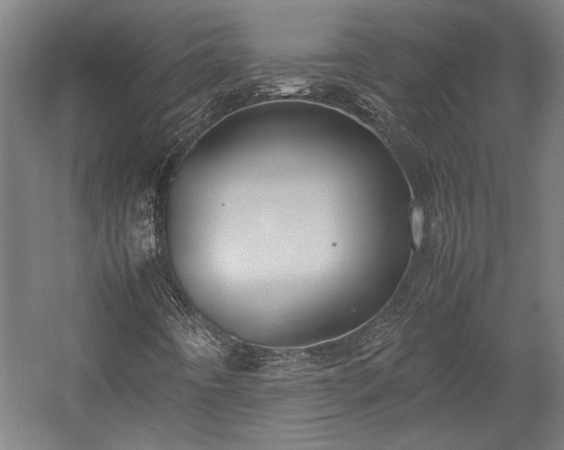 X0000057561442200509231147