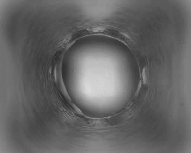 X0000057561443200509231147