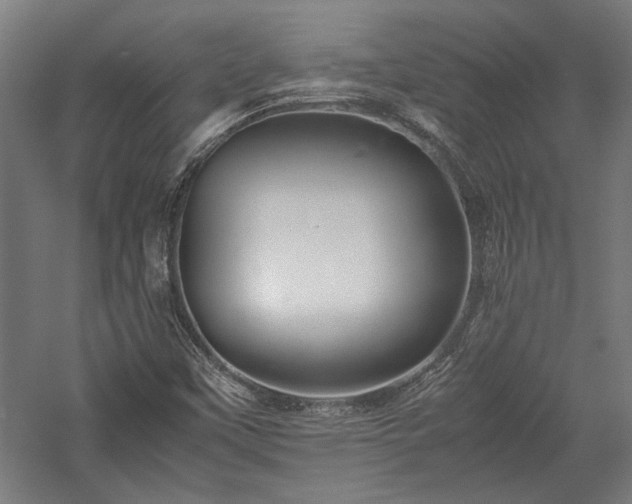 X0000057561451200509231147