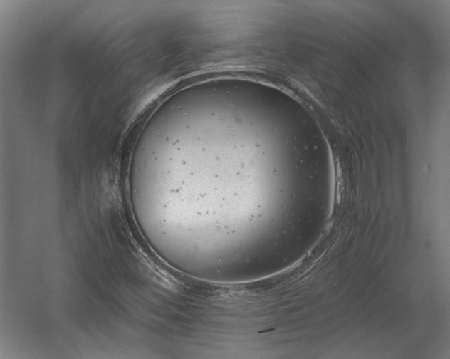 X0000057561452200509231147