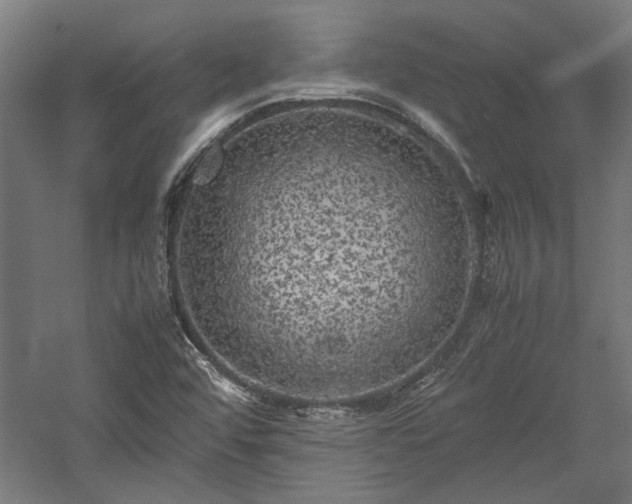 X0000057561456200509231147