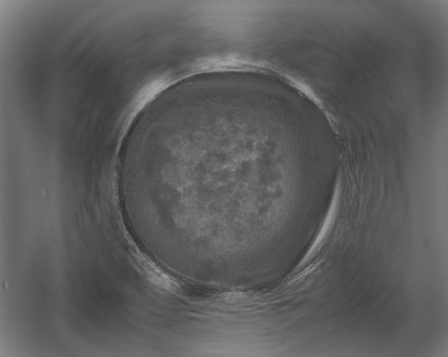 X0000057561463200509231146