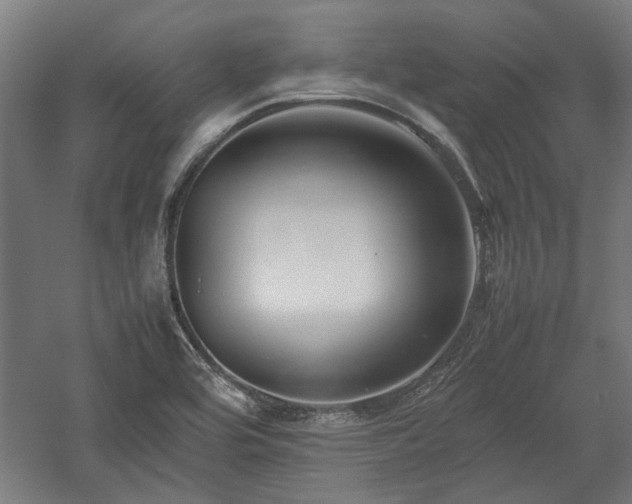 X0000057561464200509231146