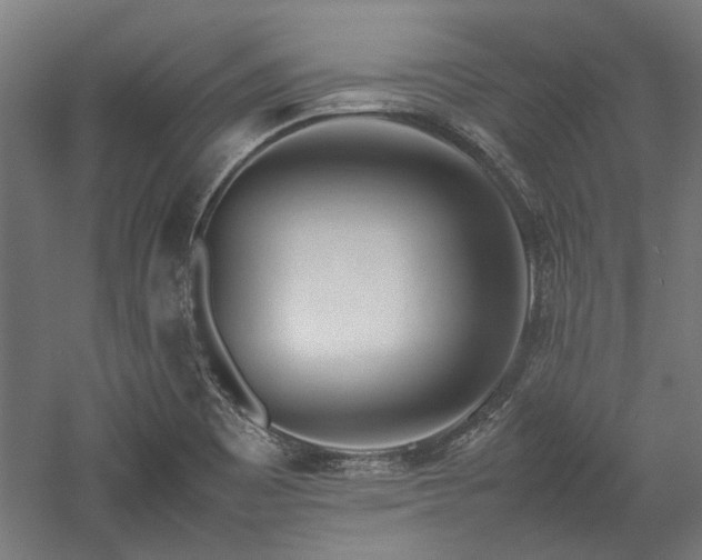 X0000057561465200509231146