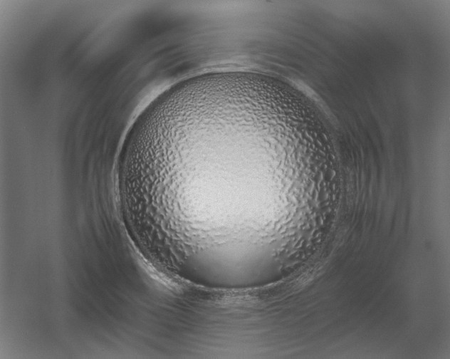 X0000057561466200509231146