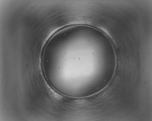 X0000057561468200509231146