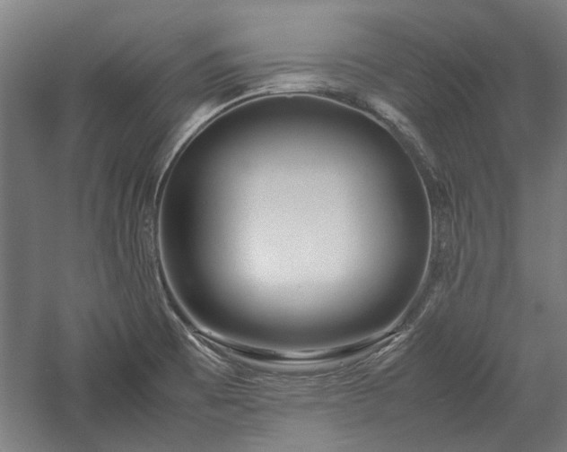 X0000057561473200509231146