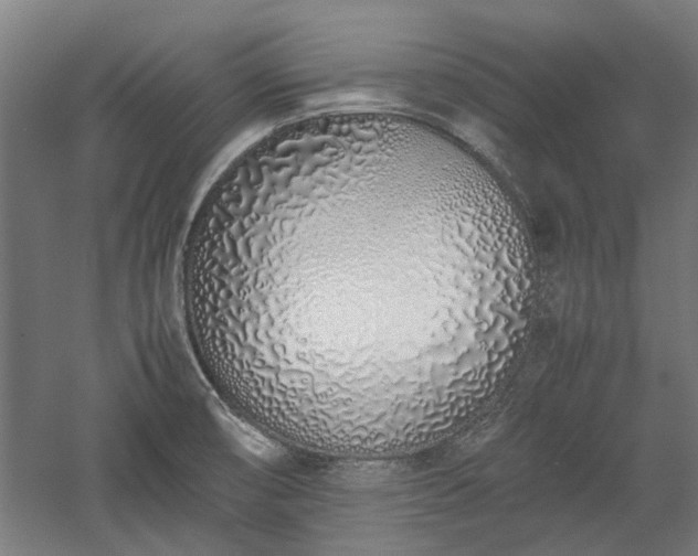 X0000057561474200509231146