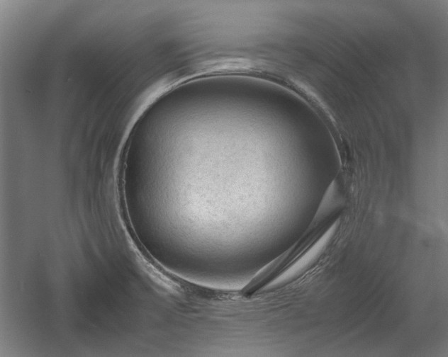X0000057561475200509231146