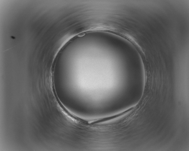 X0000057561476200509231146