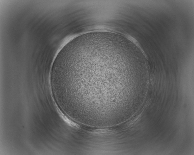 X0000057561482200509231146
