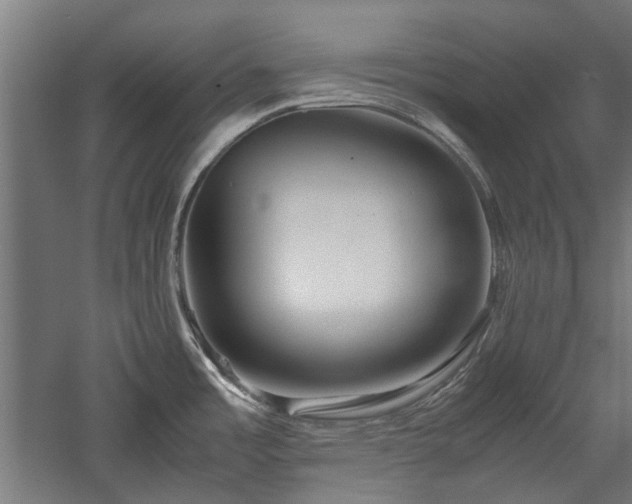 X0000057561485200509231146
