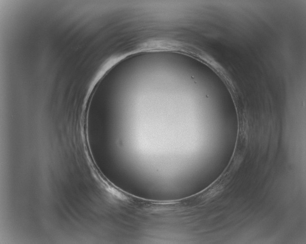 X0000057561486200509231146