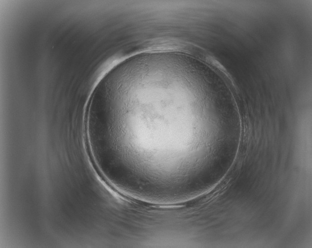 X0000057561487200509231146