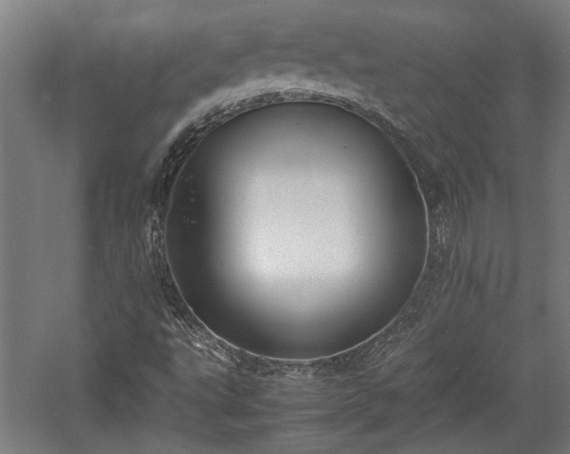 X0000057561495200509231145