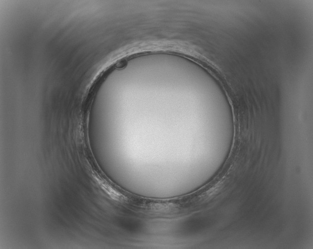 X0000057561498200509231145