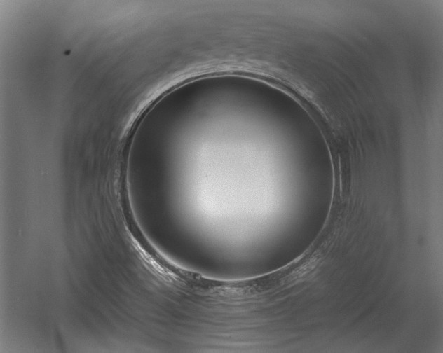 X0000057561500200509231145